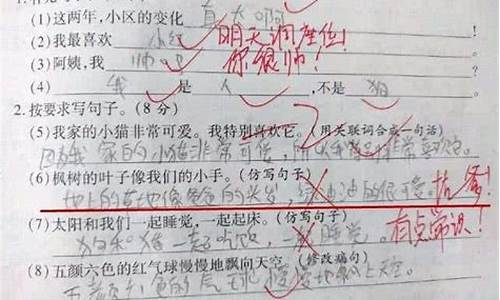 天衣无缝造句子短一点-天衣无缝造句子短一点怎么写